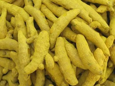 Picture of Dry Turmeric Whole -শুকনো আস্তা হলুদ - 500gm