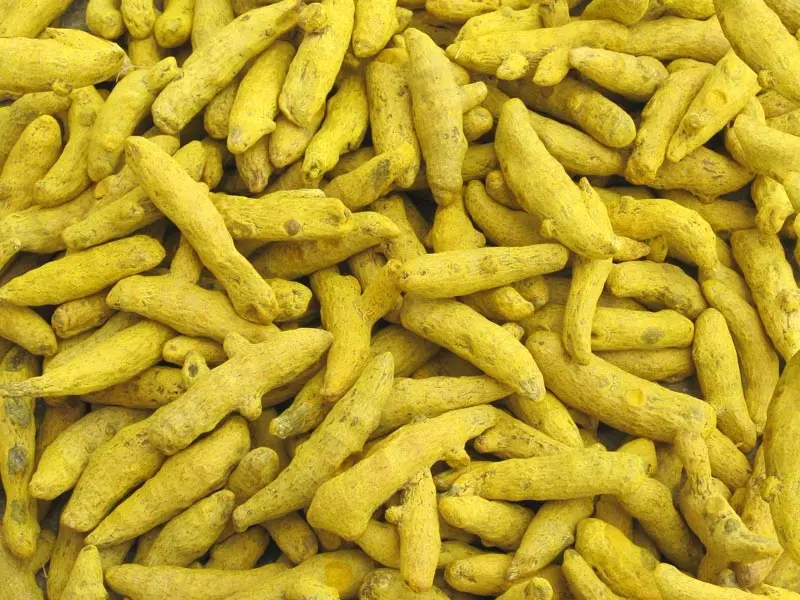 Picture of Dry Turmeric Whole -শুকনো আস্তা হলুদ - 500gm