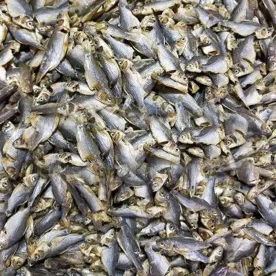 Picture of Dry Fish Puti Shutki 250 G Indian Snack Seafood Dried Fish Snack Indian Style Seafood Treat 250 G