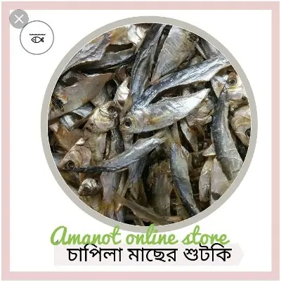 Picture of Shutki - Shutki - Chapila Dry Fish - Chapila Shutki - 500Gm