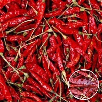 Picture of Dried Red Chili ( Sukna Morich / শুকনা মরিচ ) - 500gm