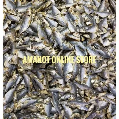 Picture of Dry Fish Putty Shoot- (Putty Machar Shock) -100 G G