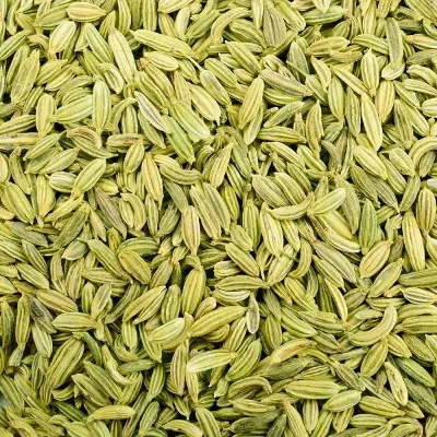 Picture of Fennel seeds / Moury (Misty jira)-500gm