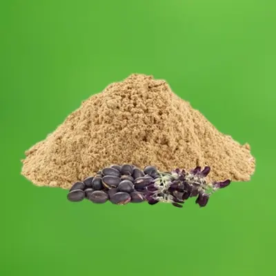 Picture of Alkushi Powder-100gm