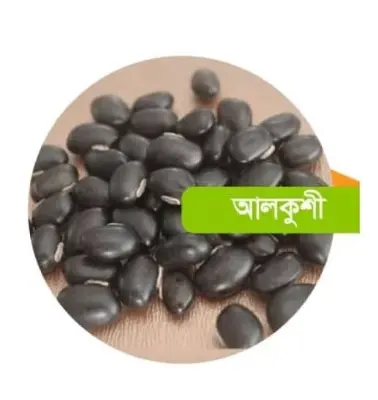 Picture of Alkushi Seeds (Alkuchi Biz -Granar) -500gm