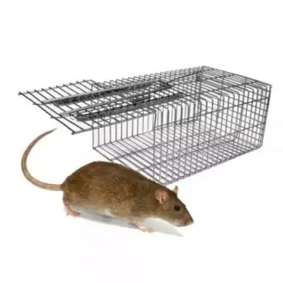 Picture of Rat Catching Stainless Steel Trap - Silver