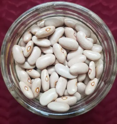 Picture of White Kidney Beans - Rajma 1 kg