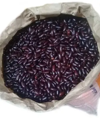 Picture of Black kidny Beans/ Kalo rajma -250gm