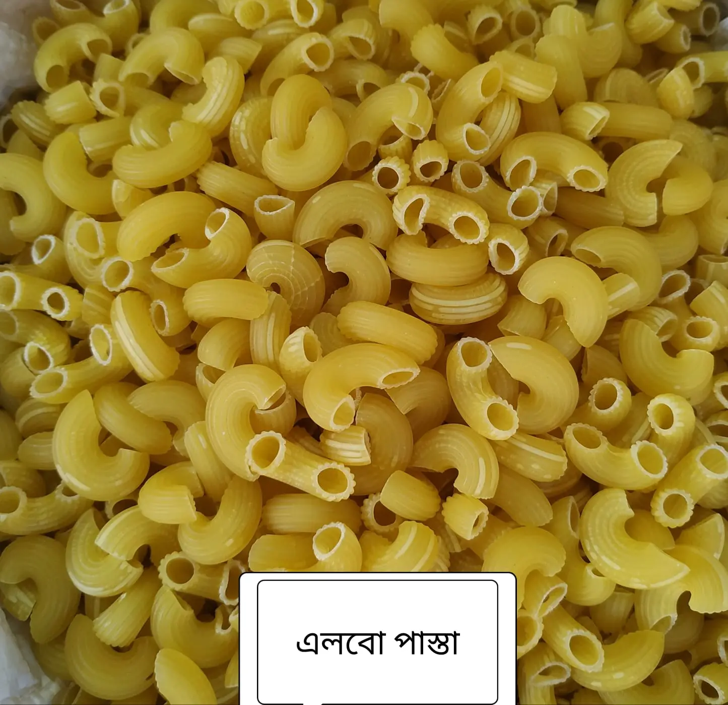 Picture of Homemade pasta(Albo)-1 kg