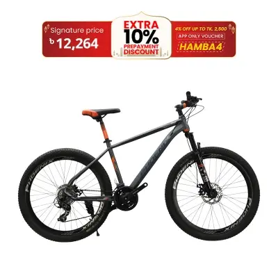 Picture of Phoenix Donald 26 inch 24 Speed Grey Bicycle