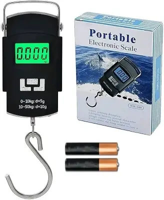 Picture of Portable electronic Scale