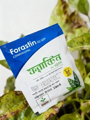 Picture of Forastin fungicide 50 wp (carbondazim 50%) - 25gm