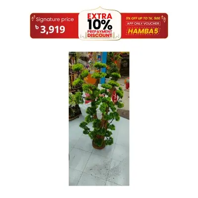 Picture of Artificial Plastic Plant Bonsai