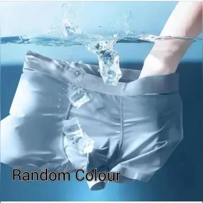 Picture of 1 Piece Random Solid Colour Ice Silk Underwear