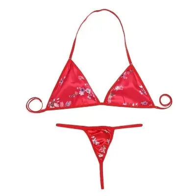 Picture of Hot & Sweet Imported Silk Bikini Set For Women
