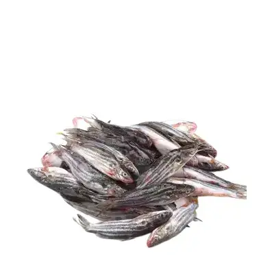 Picture of Tangra Fish 80-100pcs/Kg 