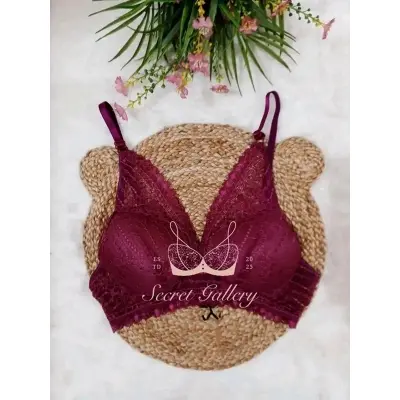 Picture of Elegance Lightly Padded Lace Bra for Women - Timeless Comfort and Glamour
