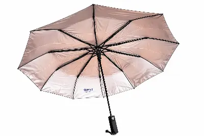 Picture of RFL QUEST Auto Open Umbrella – 10 Strong Ribs, UPF 50+ UV Protection, Windproof & Water Repellent