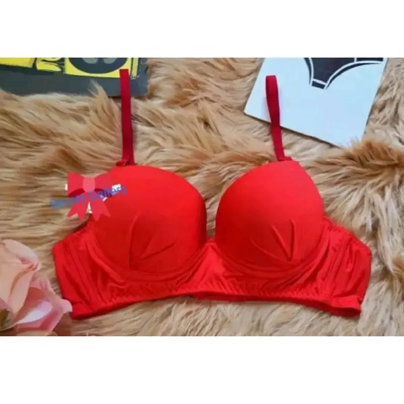 Picture of Lightly Padded Push-Up Bra for Women - Seamless, Adjustable Straps