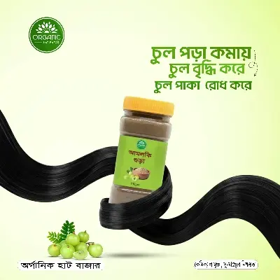 Picture of Amloki Powder / Amla Powder - 100gm
