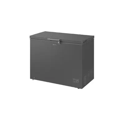 Picture of Samsung 287 Liter Chest/Deep Freezer (RI70F29V1G/AGH)