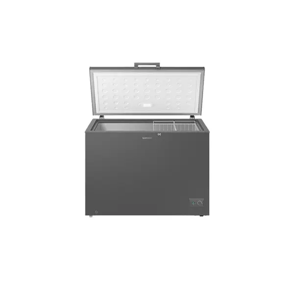 Picture of Samsung 287 Liter Chest/Deep Freezer (RI70F29V1G/AGH)