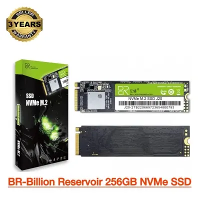 Picture of BR-Billion Reservoir SSD 512GB 256GB 128GB PCIe NVMe M2 2280 Gen 3.0 Interface For Laptop & Desktop (Multicolor,256GB)
