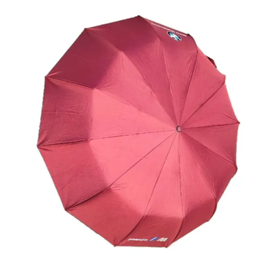 Picture of BMW Auto Open And Auto Close Umbrella 12 Ribs (China)