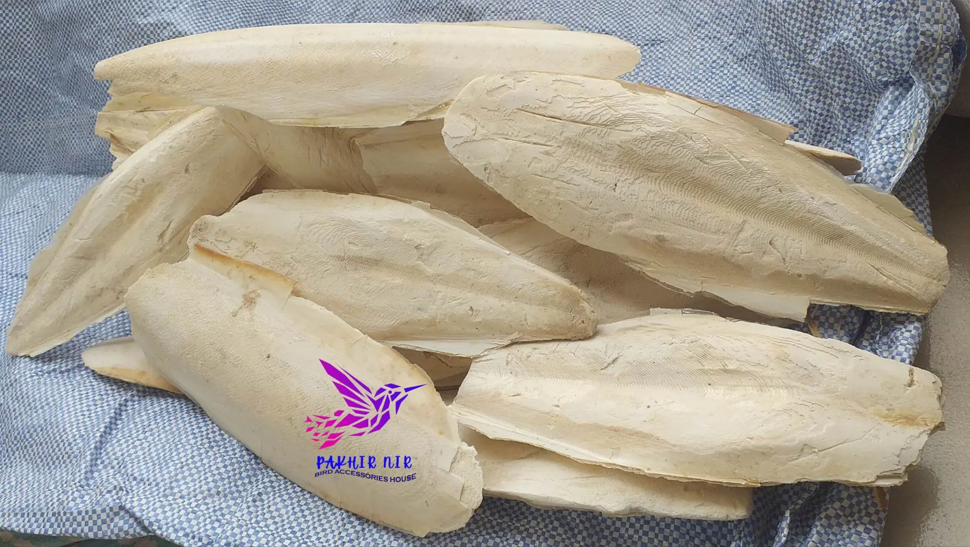 Picture of Cattle Fish Bone for all type  bird