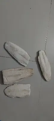 Picture of Cattle Fish Bone for all type  bird