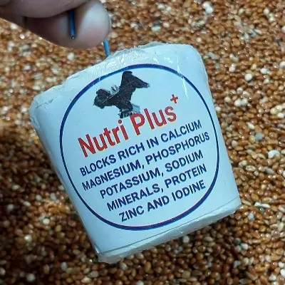 Picture of Nutri Plus Blocks for all type birds 2 pcs