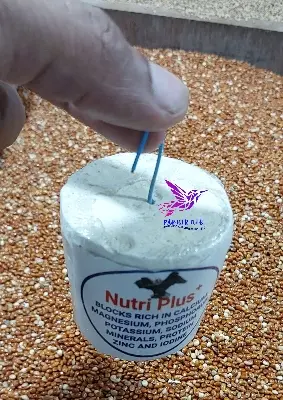 Picture of Nutri Plus Blocks for all type birds 2 pcs