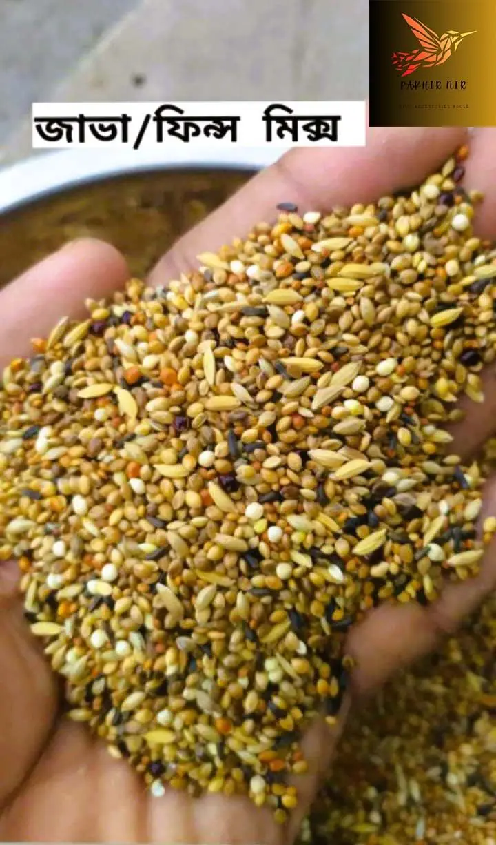 Picture of Seed mix For Bird (Regular)-1kg