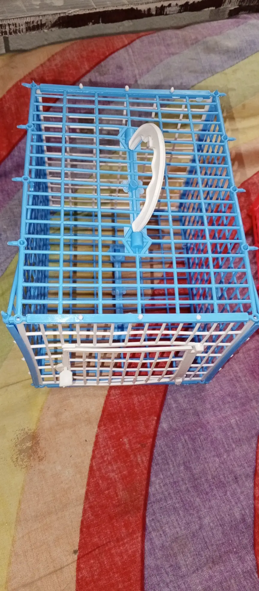 Picture of Carrying Cage For Bird (Plastic)-01 Pc