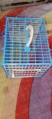 Picture of Carrying Cage For Bird - 5 pcs (Plastic)