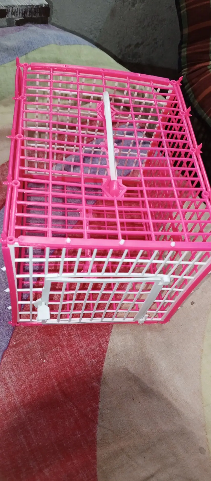 Picture of Carrying Cage For Bird - 2 pcs (Plastic)