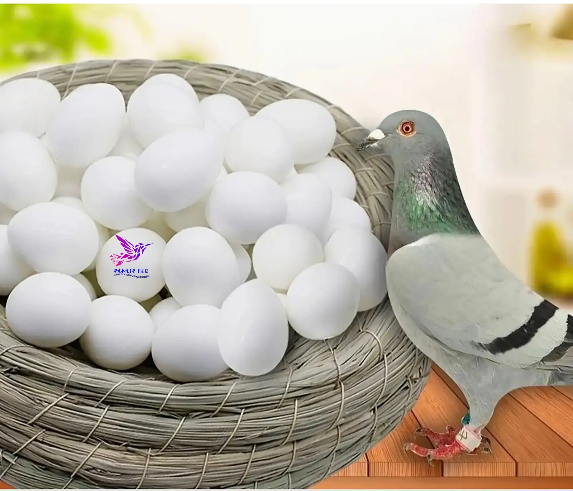 Picture of Pigeon Plastic Fake Eggs