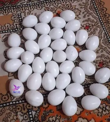 Picture of Pigeon Plastic Fake Eggs
