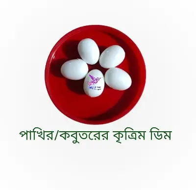 Picture of Pigeon Plastic Fake Eggs