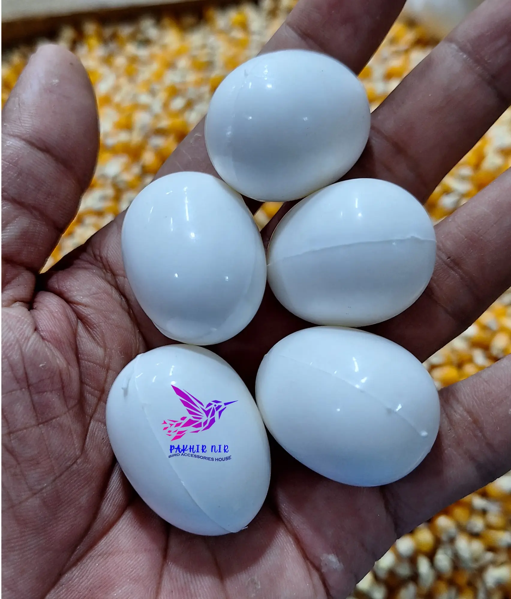 Picture of Pigeon Plastic Fake Eggs