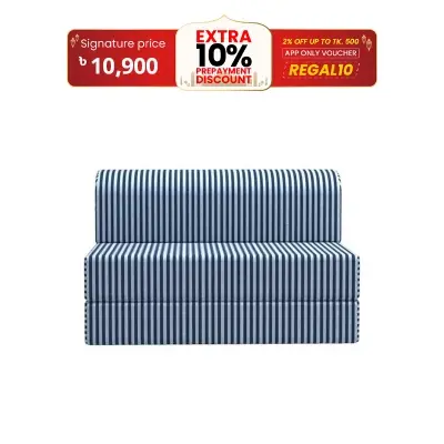 Picture of Regal Foam Sofa Cum Bed (Semi Double)