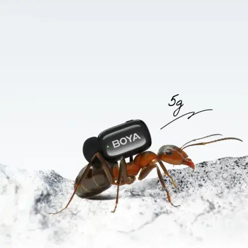 Picture of BOYA mini 2-04 Black Upgraded Super Mini Wireless Microphone with AI Noise Cancellation (TX-2. RX-1) Type c