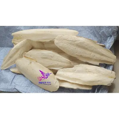 Picture of Cattle Fish Bone for all type  bird