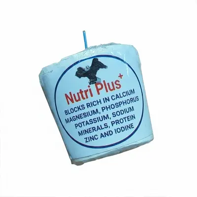 Picture of Nutri Plus Blocks for all type birds 2 pcs