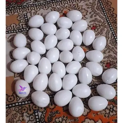 Picture of Pigeon Plastic Fake Eggs