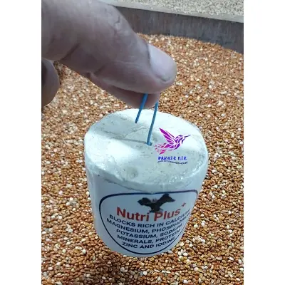 Picture of Nutri Plus Blocks for all type birds 2 pcs