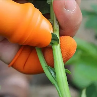 Picture of Silicone Vegetable And Fruits Thumb Cutter Finger cutter 5 in 1 Multicolor