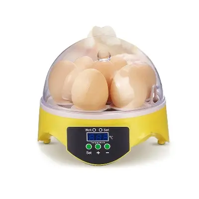 Picture of Mini Egg Incubator Automatic Digital 7 Eggs Poultry Hatcher Tool for Duck Bird Chicken Egg 
