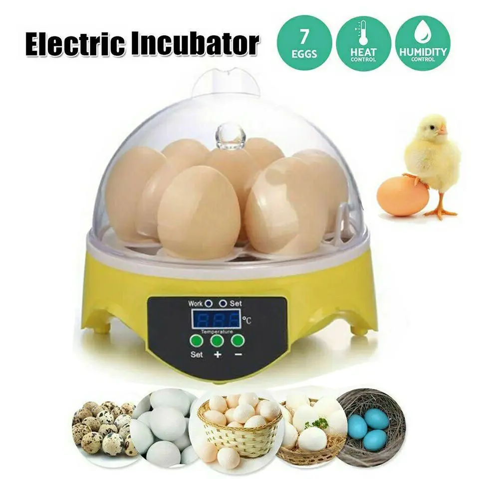 Picture of Mini Egg Incubator Automatic Digital 7 Eggs Poultry Hatcher Tool for Duck Bird Chicken Egg 