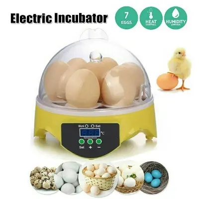 Picture of Mini Egg Incubator Automatic Digital 7 Eggs Poultry Hatcher Tool for Duck Bird Chicken Egg 